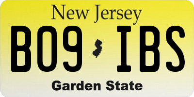 NJ license plate B09IBS