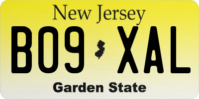NJ license plate B09XAL