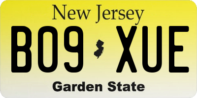 NJ license plate B09XUE
