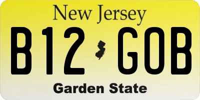 NJ license plate B12GOB