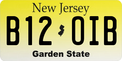 NJ license plate B12OIB