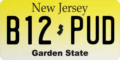 NJ license plate B12PUD