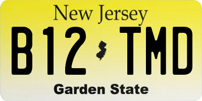 NJ license plate B12TMD