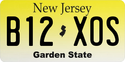 NJ license plate B12XOS