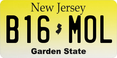 NJ license plate B16MOL