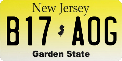 NJ license plate B17AOG