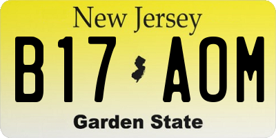NJ license plate B17AOM