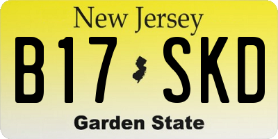 NJ license plate B17SKD