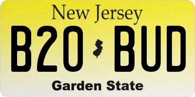 NJ license plate B20BUD