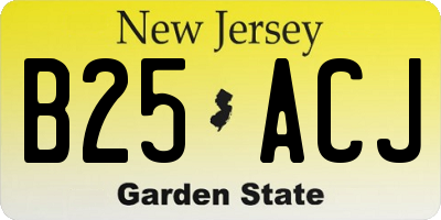 NJ license plate B25ACJ