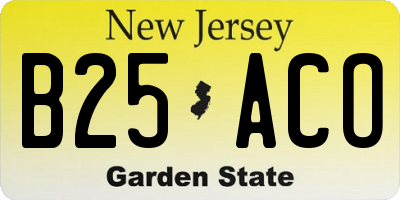 NJ license plate B25ACO