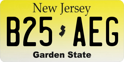 NJ license plate B25AEG