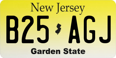 NJ license plate B25AGJ