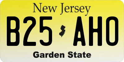 NJ license plate B25AHO