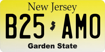 NJ license plate B25AMO