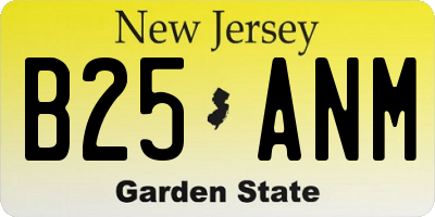 NJ license plate B25ANM