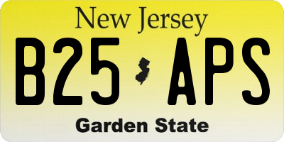 NJ license plate B25APS