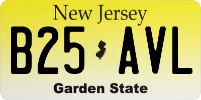 NJ license plate B25AVL