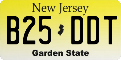 NJ license plate B25DDT