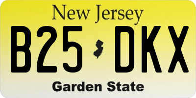 NJ license plate B25DKX