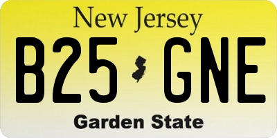 NJ license plate B25GNE