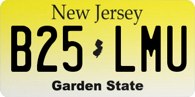 NJ license plate B25LMU