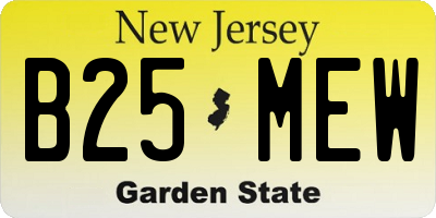 NJ license plate B25MEW