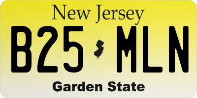 NJ license plate B25MLN