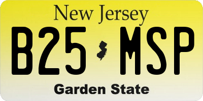 NJ license plate B25MSP