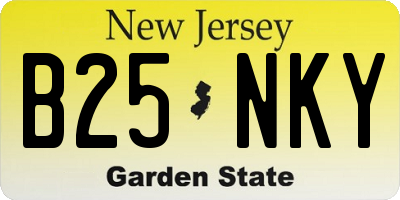 NJ license plate B25NKY