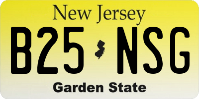 NJ license plate B25NSG