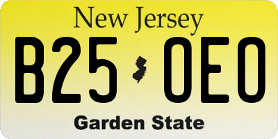 NJ license plate B25OEO