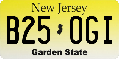 NJ license plate B25OGI