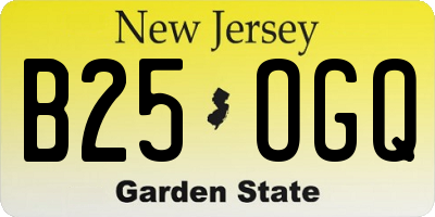 NJ license plate B25OGQ