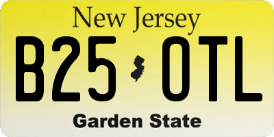NJ license plate B25OTL