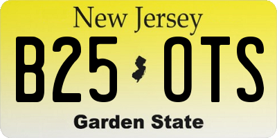 NJ license plate B25OTS