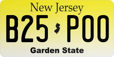 NJ license plate B25POO