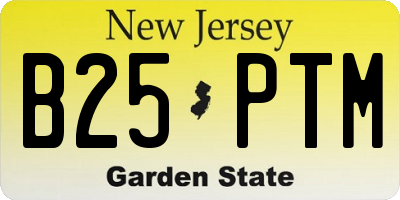 NJ license plate B25PTM