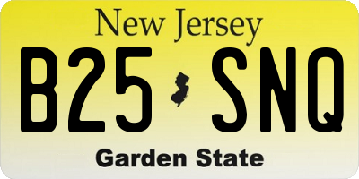 NJ license plate B25SNQ
