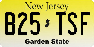 NJ license plate B25TSF