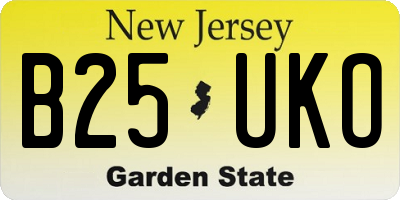 NJ license plate B25UKO