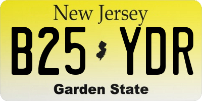NJ license plate B25YDR