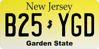 NJ license plate B25YGD