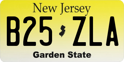 NJ license plate B25ZLA
