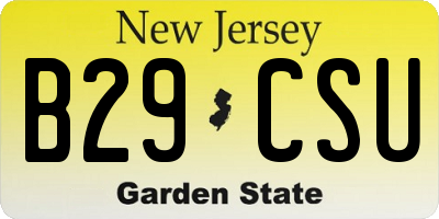 NJ license plate B29CSU