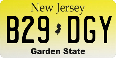 NJ license plate B29DGY
