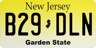 NJ license plate B29DLN