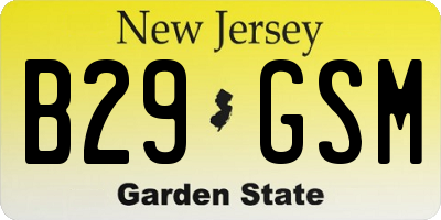 NJ license plate B29GSM