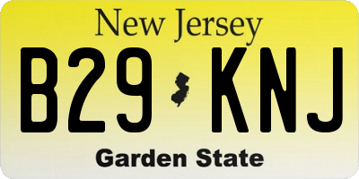 NJ license plate B29KNJ