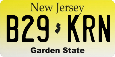 NJ license plate B29KRN